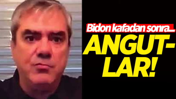 12 angut