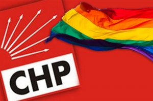 Toplumsal Cinsiyet, Chp ve İbnelik